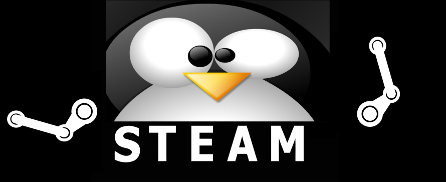 Nur 1.000 Betatester für Linux Version von Steam