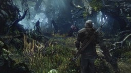 The_Witcher_3_Wild_Hunt_E3_Screenshots_02-pcgh